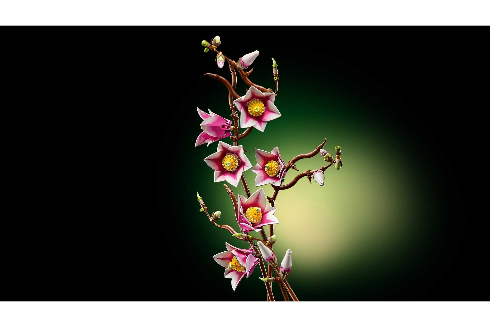 LEGO 11510 Botanicals Magnoliatakken - Afbeelding 4