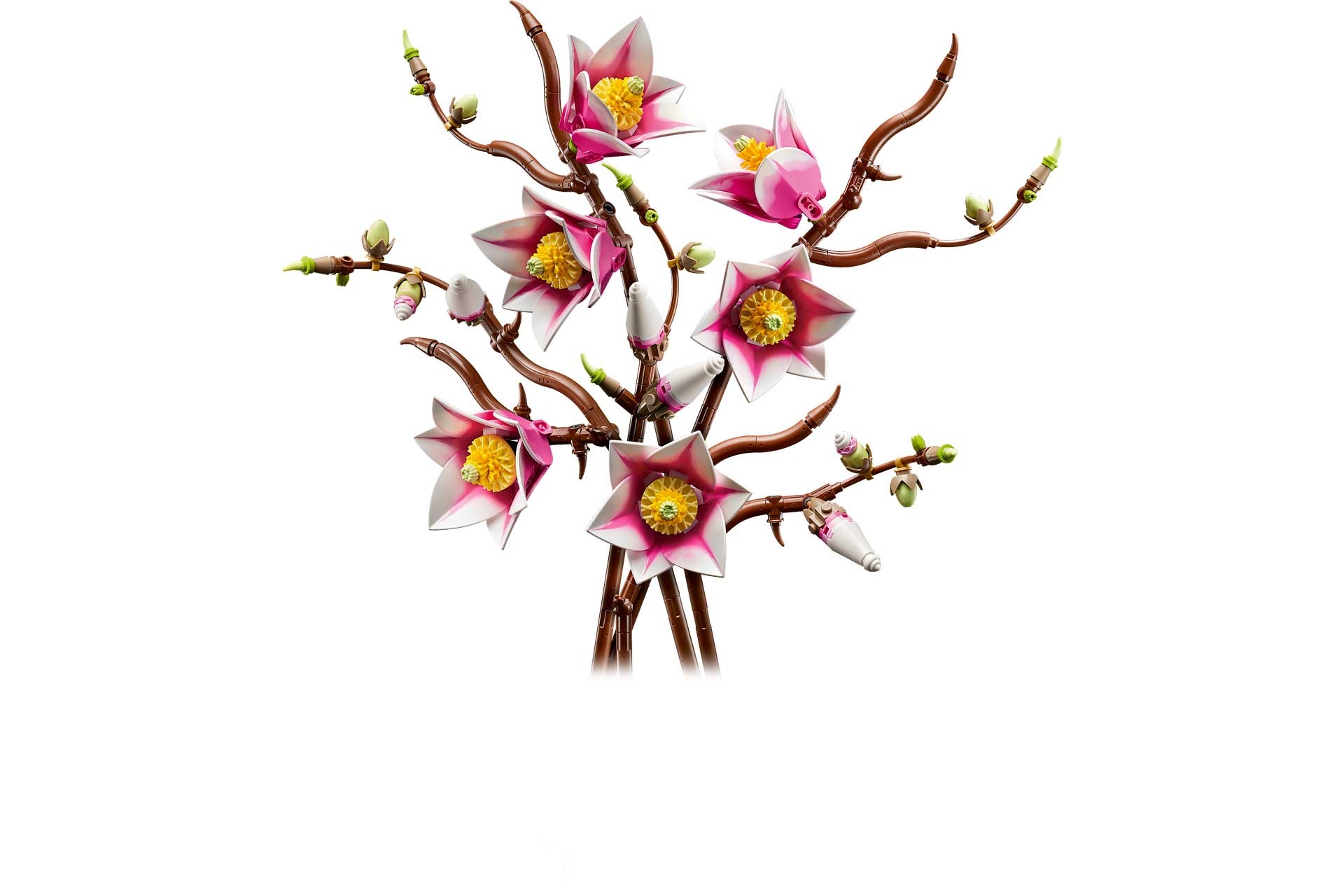 LEGO 11510 Botanicals Magnoliatakken - Afbeelding 7