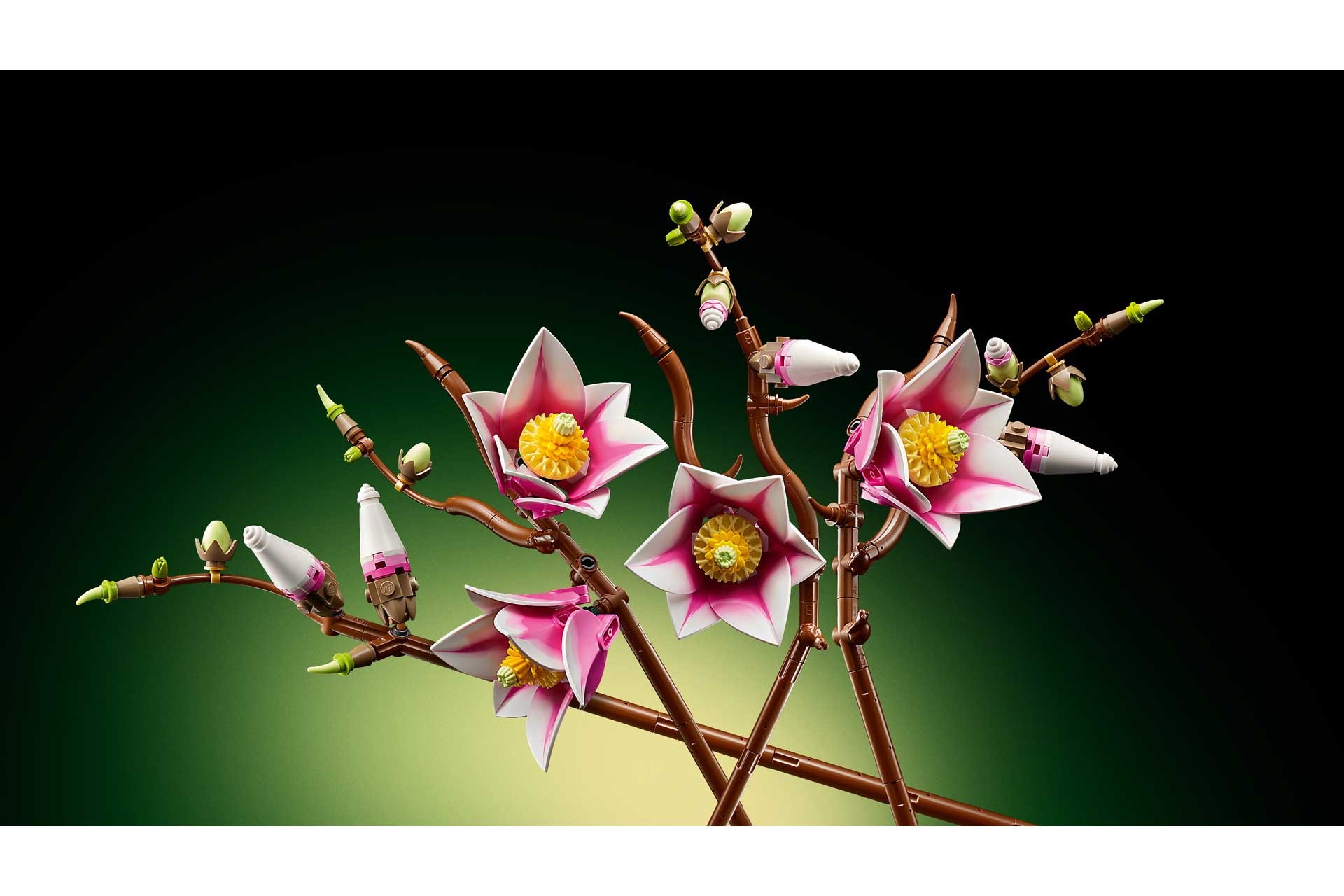 LEGO 11510 Botanicals Magnoliatakken - Afbeelding 5