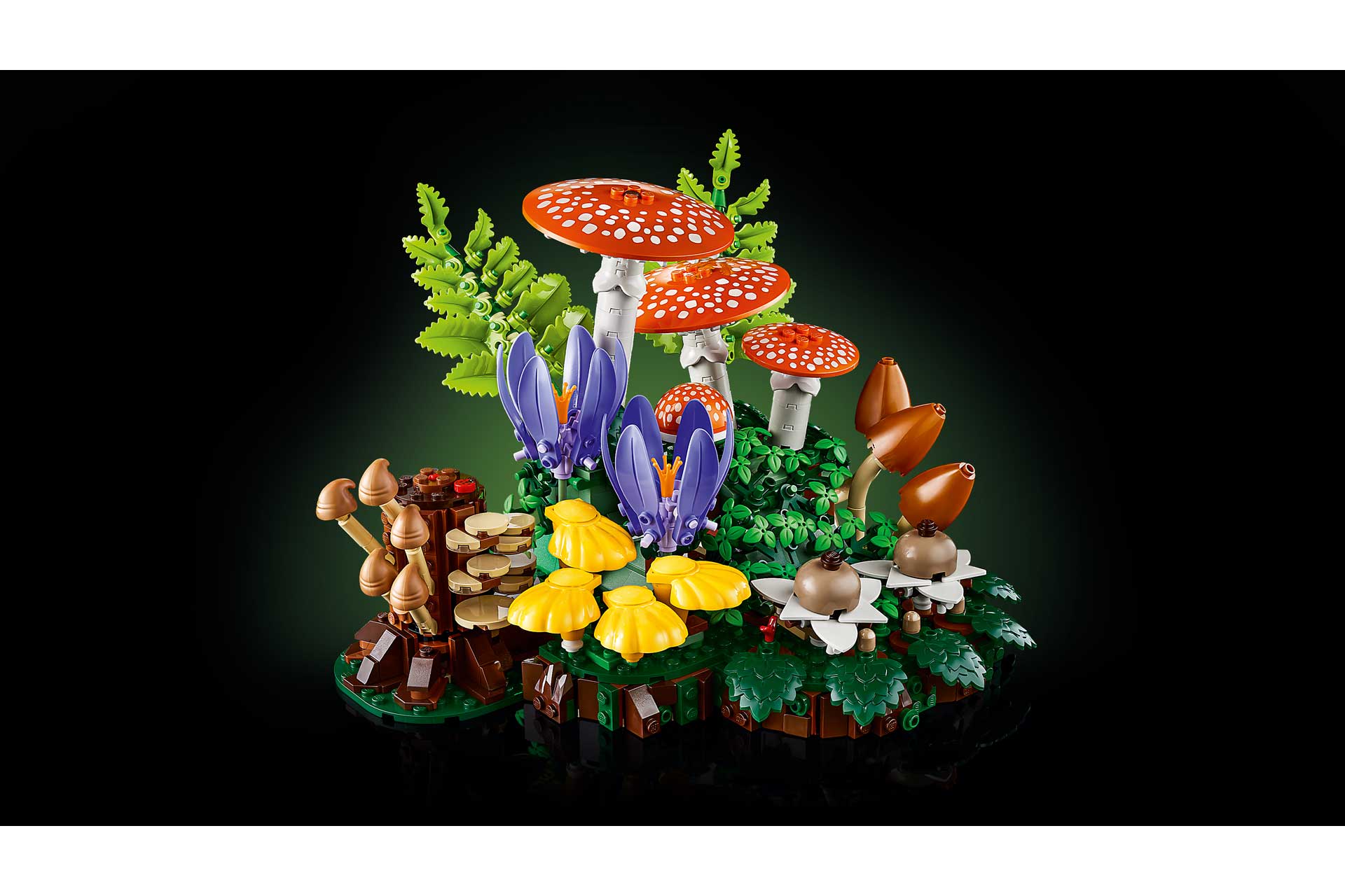 LEGO 11505 Botanicals Bospaddenstoelen - Afbeelding 6