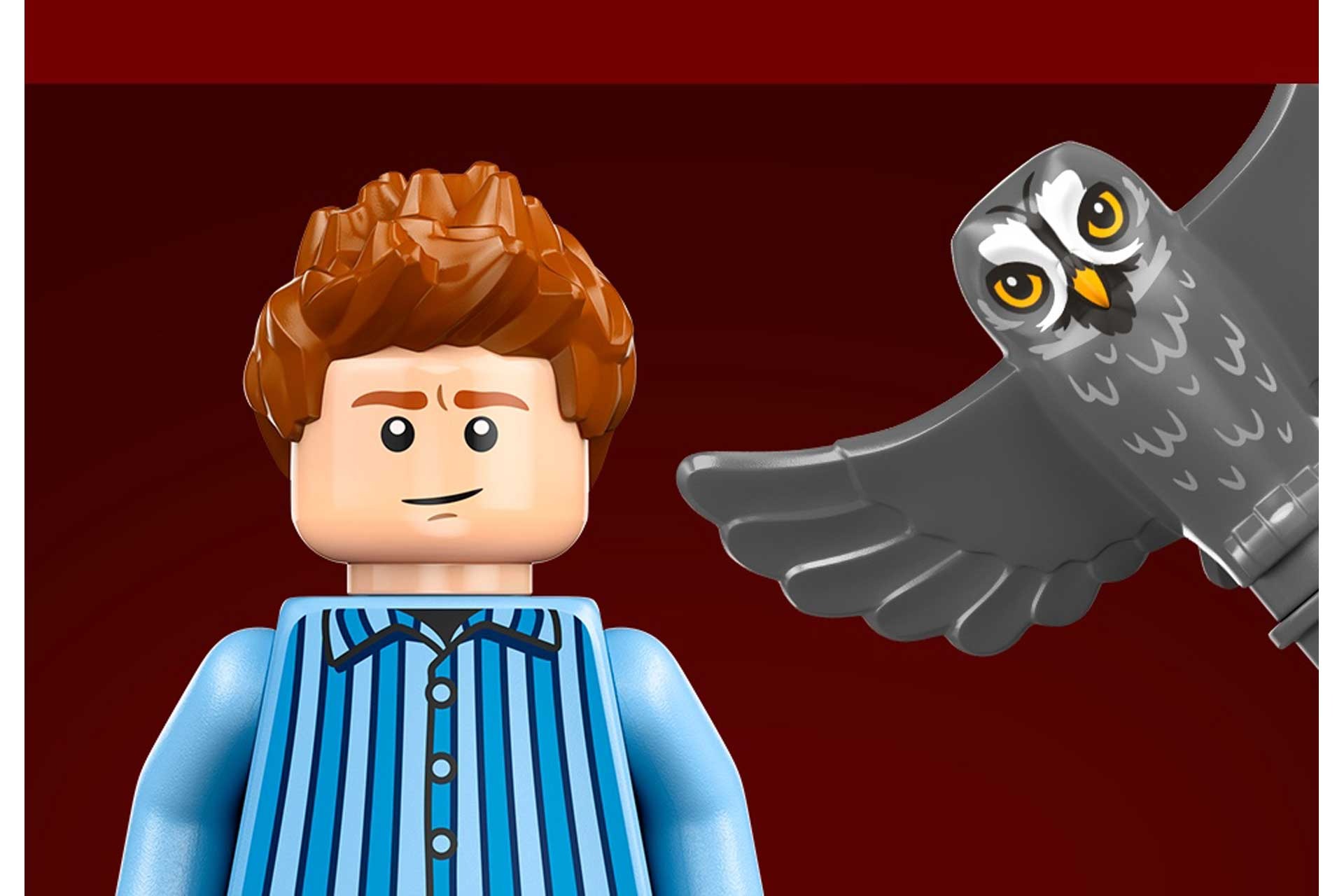 LEGO 76437 Harry Potter Het Nest – Verzameleditie - Afbeelding 4