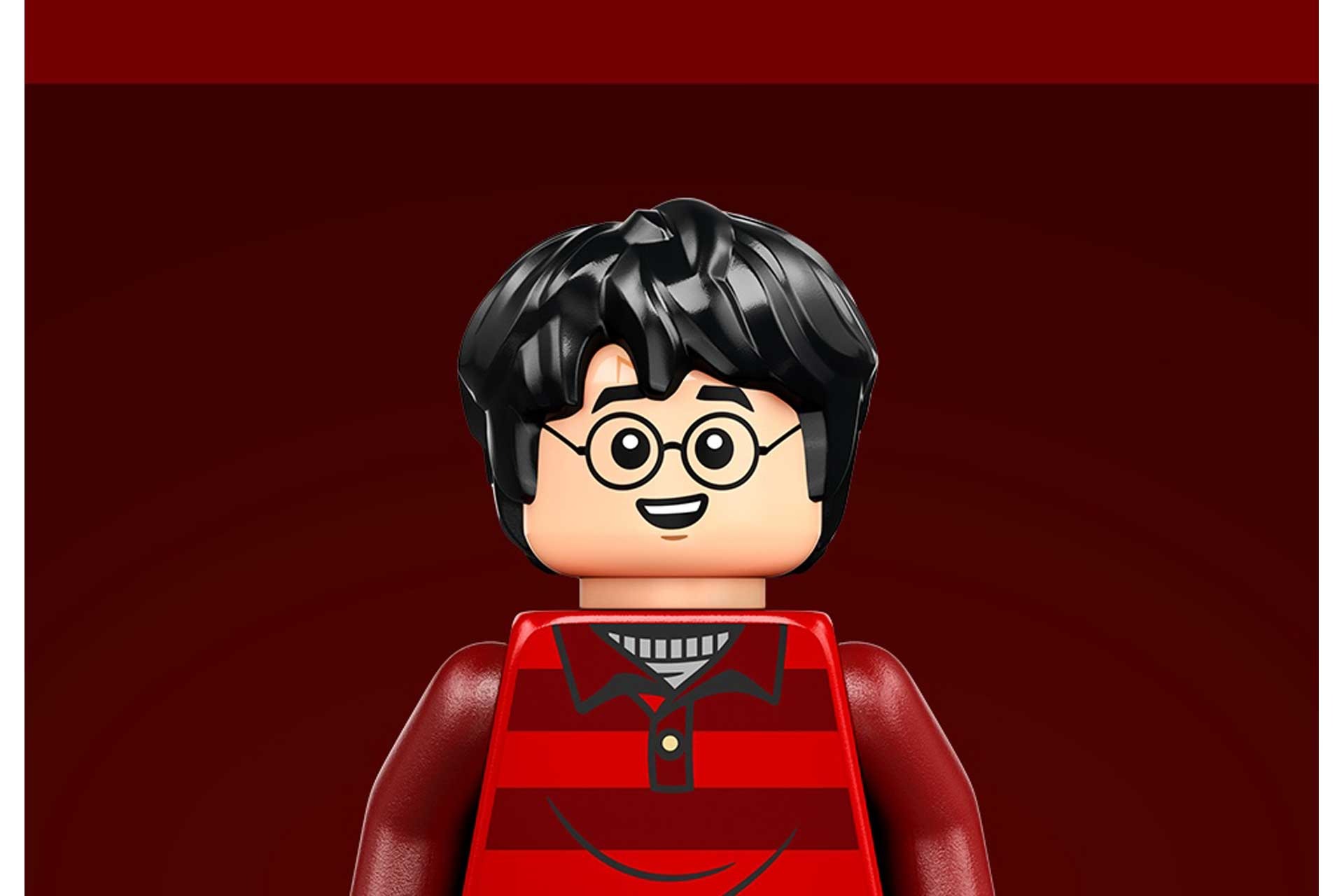LEGO 76437 Harry Potter Het Nest – Verzameleditie - Afbeelding 7