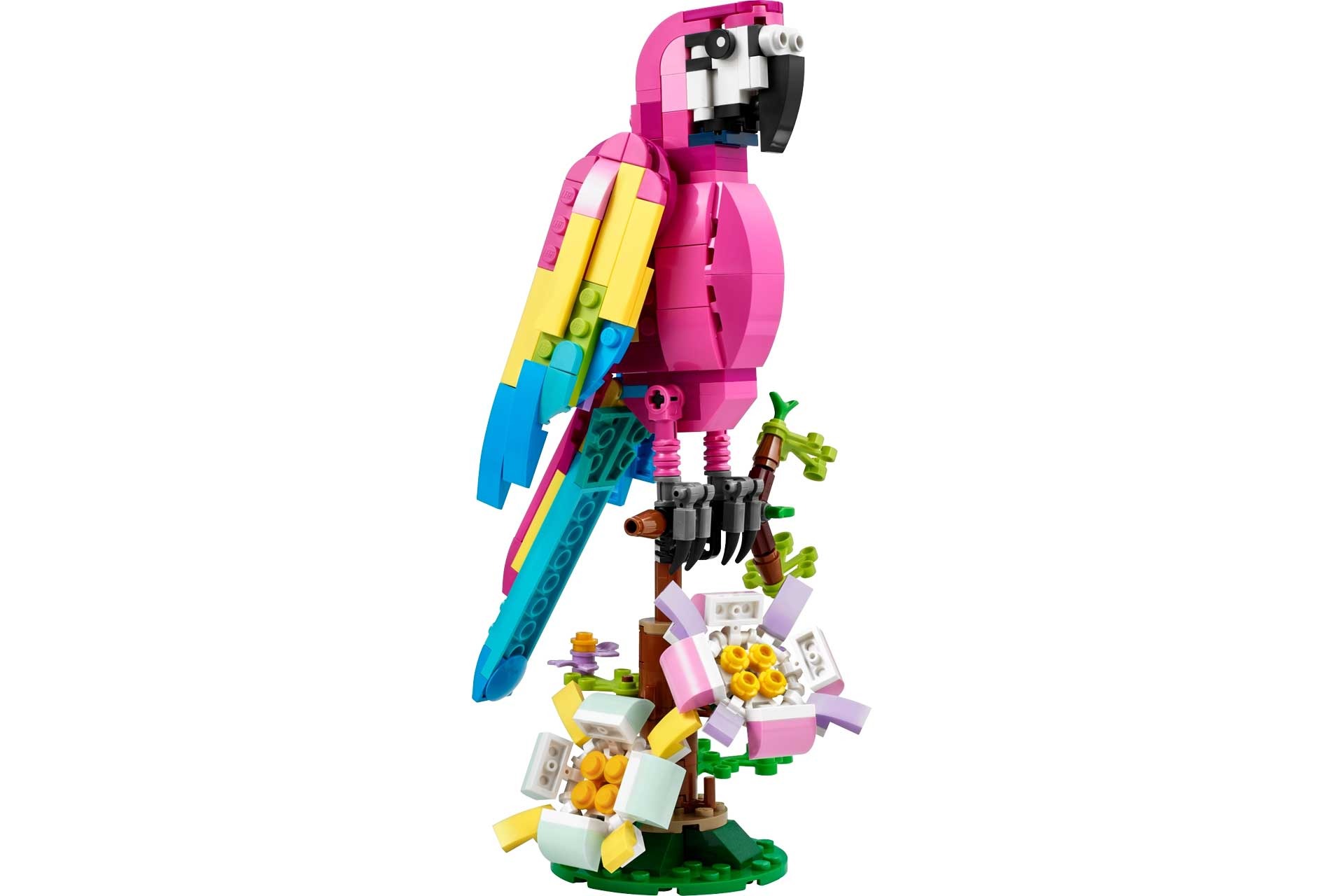 LEGO 31144 Creator Exotische roze papegaai - Afbeelding 2